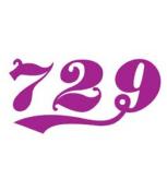 So sánh cốt vợt 729